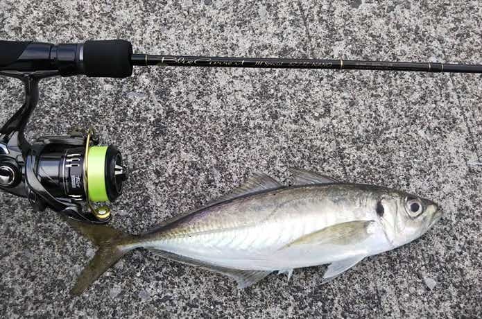 ヤマガブランクス・ブルーカレント】2021年最新ラインナップと気になる