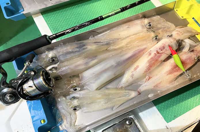 1万円台で買える】ハイコスパなイカメタルロッド10選！ロッドの代用は