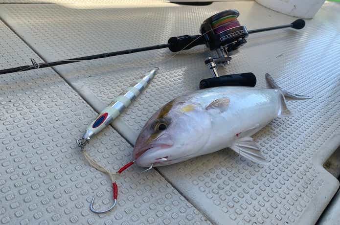 ヴァデルSJを実釣インプレ。1万円台で買えるスロー竿の実力とは