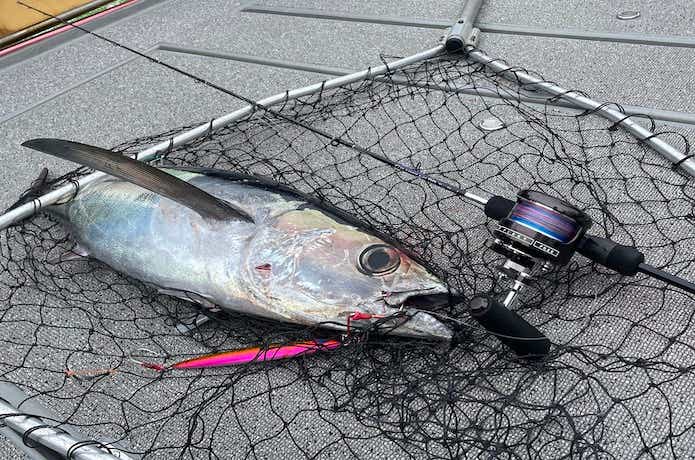 トンジギにおすすめのロッド13選！ベイトタックルを圧倒的に推す理由と