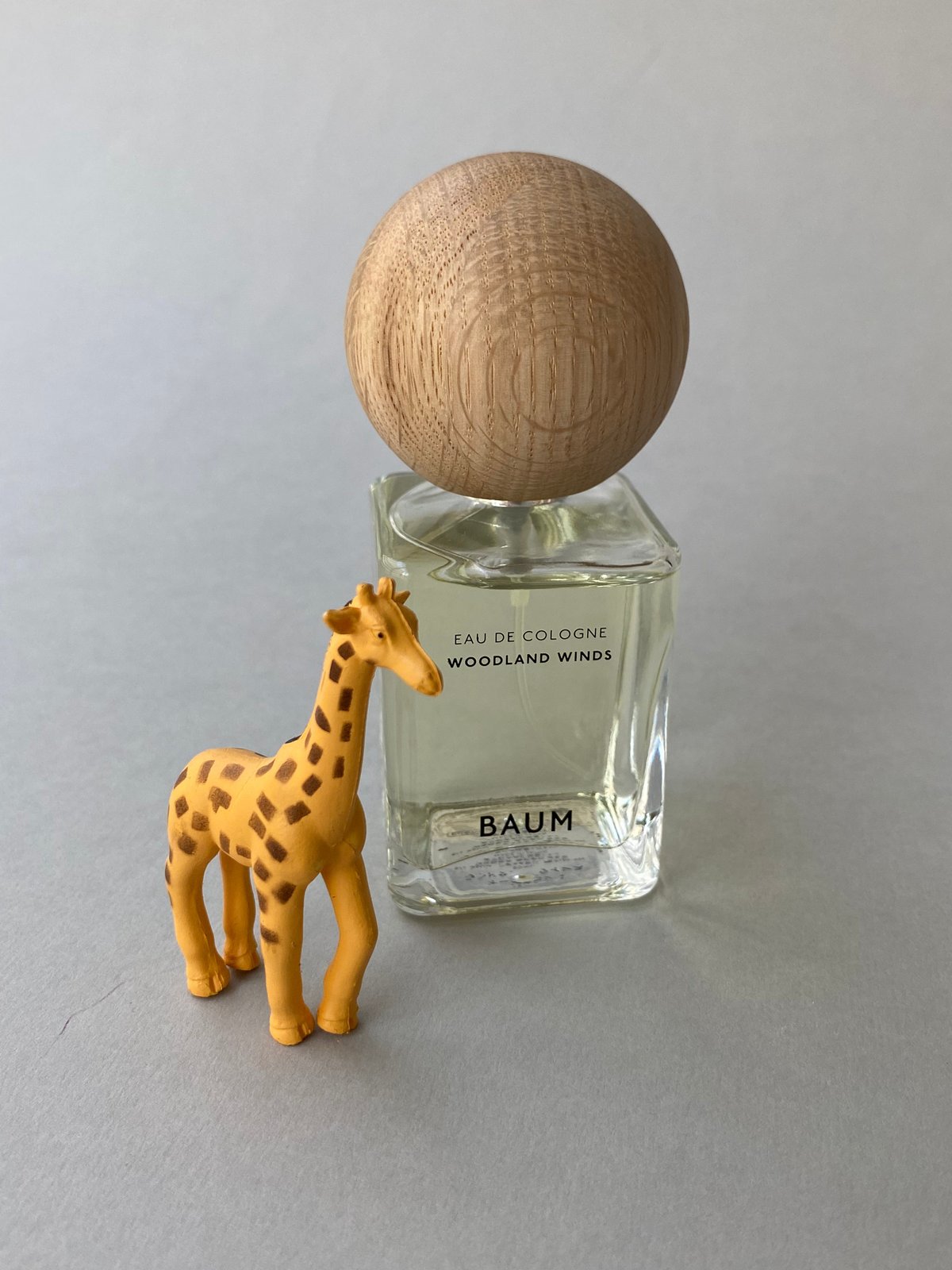 BAUM（バウム）】ウッドランド ウインズの香りで、“穏やかで余裕のある