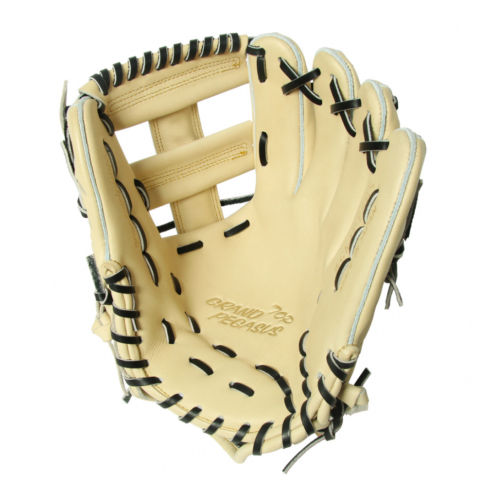 ワールドペガサス GRAND PEGASUS TOP 硬式 グランドペガサス TOP 内