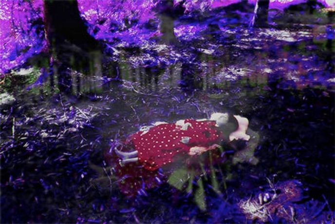 Annelies Strba: My Life's Dreams - Exhibition at Frith Street