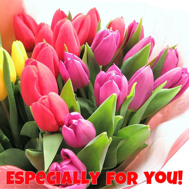 チューリップ 花束 ミックスカラー 生花使用 チューリップ 20本使用