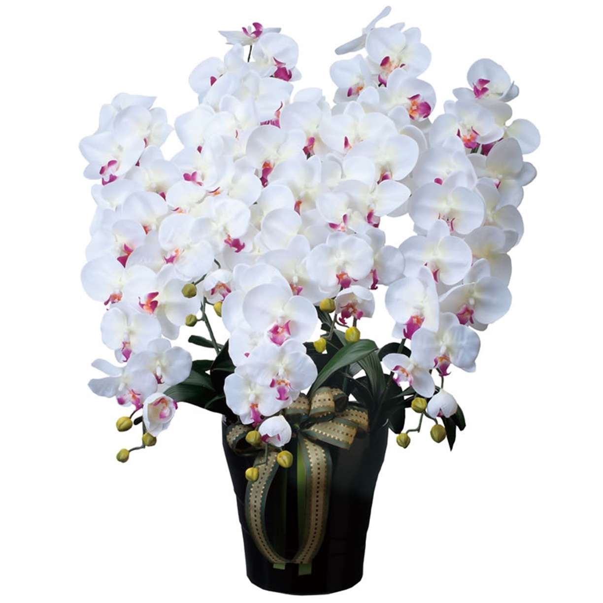 光触媒 光の楽園 ロイヤル胡蝶蘭 5本立W/AB「アートフラワー 造花