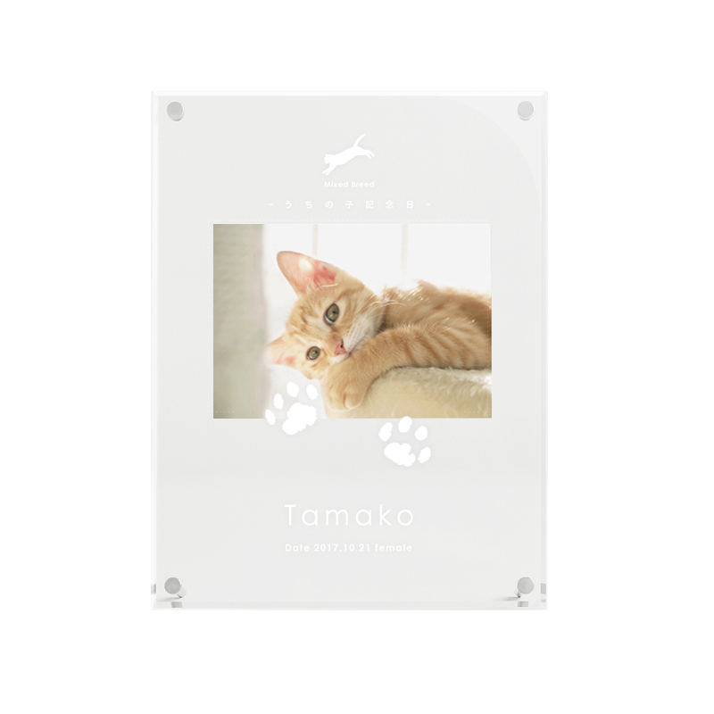 愛犬・愛猫 思い出づくりギフト券＞うちの子記念日・フォトフレームー