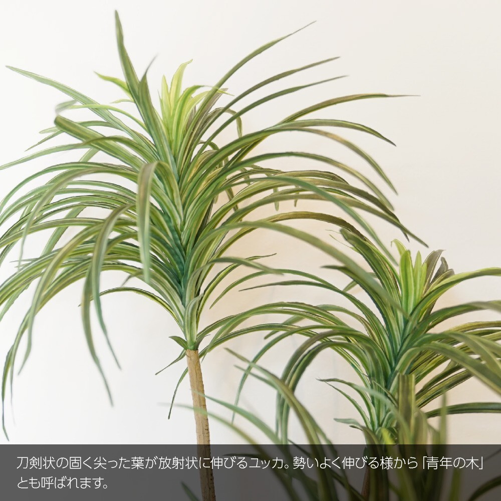 人工観葉植物 フェイクグリーン 観葉植物 造花 光触媒 大型 165cm 鉢植