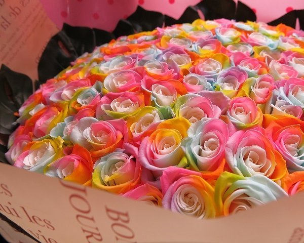 プロポーズ 花 レインボーローズ 100本 プリザーブドフラワー