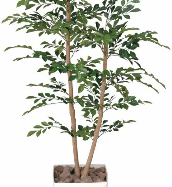 光触媒 光の楽園 トネリコ 1.2m【フェイクグリーン 人工観葉植物