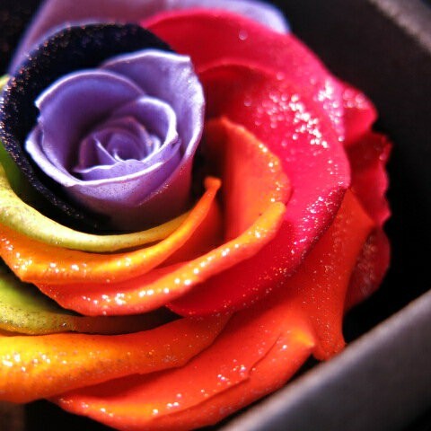 ダイヤモンドローズ 宝石 box レインボーローズ プリザーブドフラワー