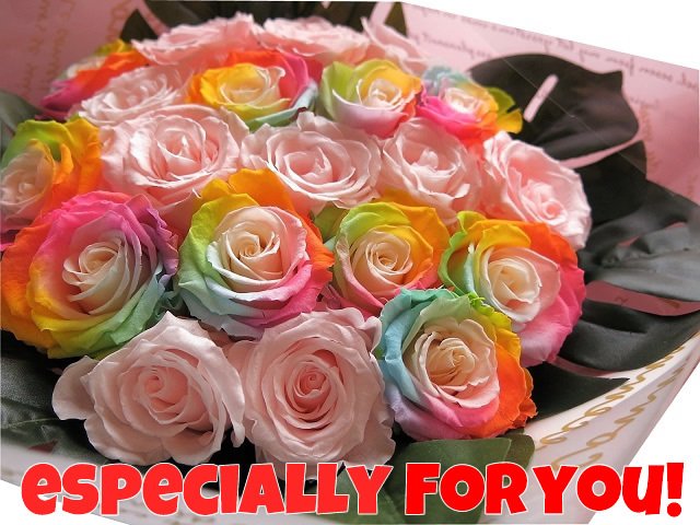 レインボーローズ ピンクバラ プリザーブドフラワー 花束 大輪系20本