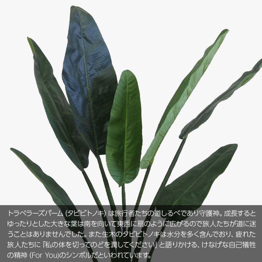 人工観葉植物 フェイクグリーン 観葉植物 造花 光触媒 大型 旅人の木