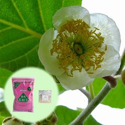 園芸ネット本店｜キウイの花粉1袋と羽毛棒：凡天1本のセット の通販