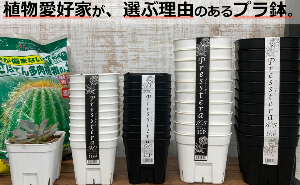 園芸ネット本店｜プレステラ90型ホワイト10個セット の通販【公式】