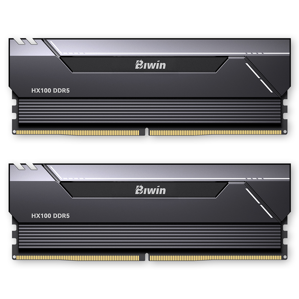 BIWIN DDR5-6000 CL30 HX100 블랙 패키지 (64GB(32Gx2)) : 다나와 가격비교