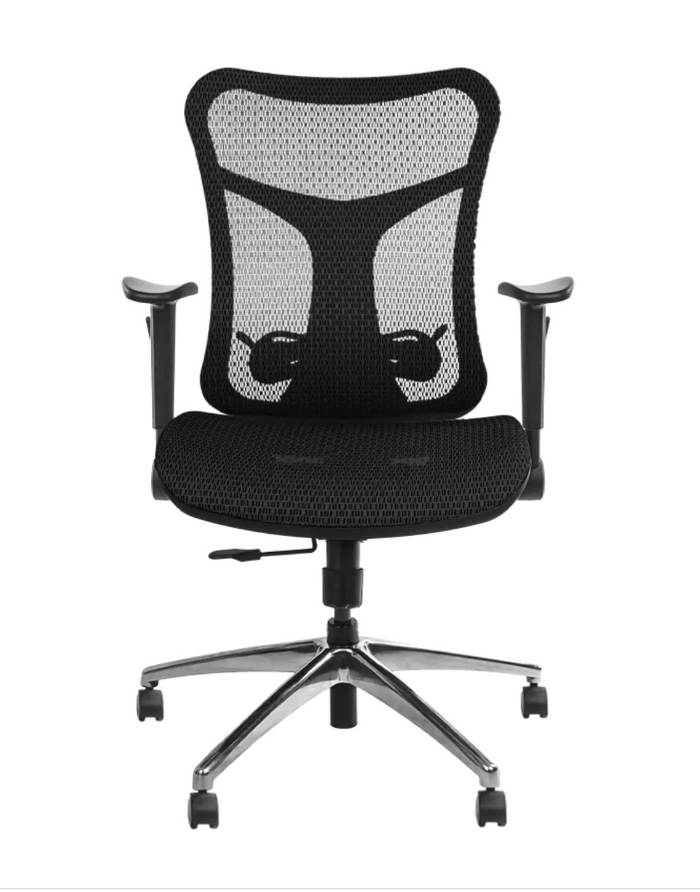 wavebone Viking【送料無料】（新品/送料無料）【楽器検索デジマート】