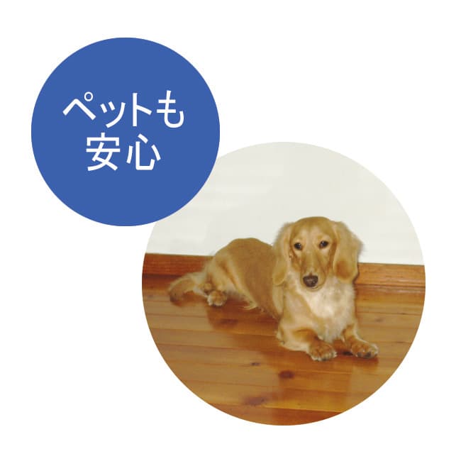 業務用ワックス「抗菌プロビュー」2Lセット（約60畳分） 通販 - ディノス