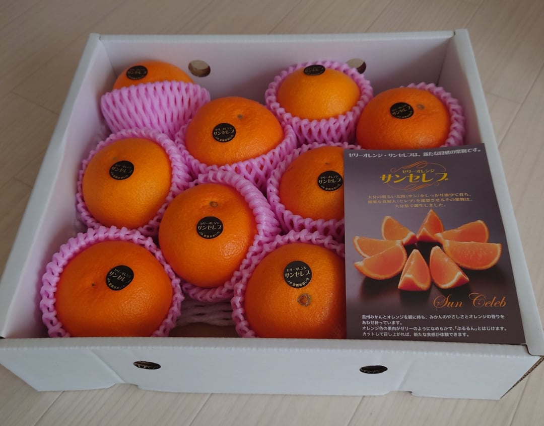 まるでゼリーのようなプルプル食感!サンセレブ約2kg(化粧箱) ミカン