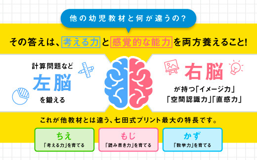 江津市限定返礼品】七田式プリントD 5歳半～就学前 SC-52｜しちだ 七田
