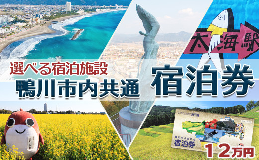 千葉県鴨川市】市内宿泊施設『共通宿泊券』9千円相当 [0030-0126