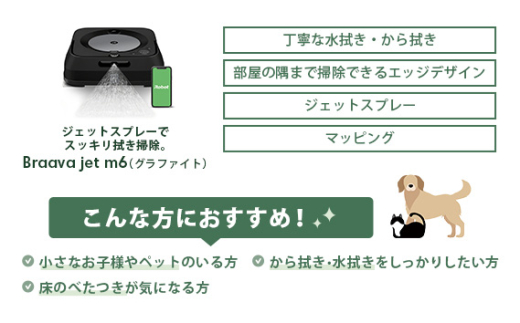 No.217 ブラーバジェット m6 グラファイト 【公式整備済リユース品