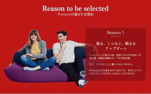 Yogibo Support Premium（ヨギボー サポート プレミアム）【ビーズ