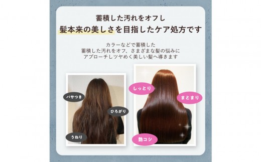 by one sii スムース・リペアエッセンス 290ml - 福岡県福岡市