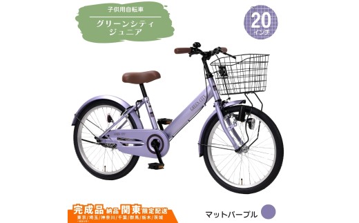 20型 子供用自転車 グリーンシティV ジュニア［マットパープル］ 20