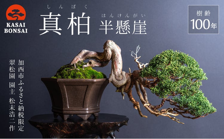 sd1_ba8170507336d7d055392d2eca