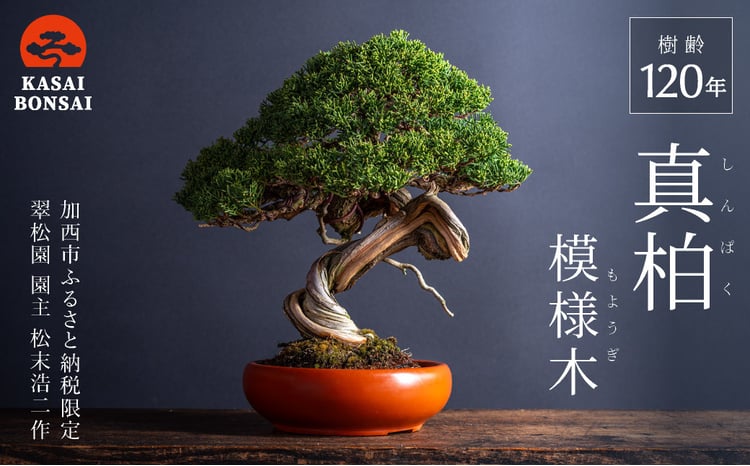 sd1_d22ac28d729553fbe0e208e742