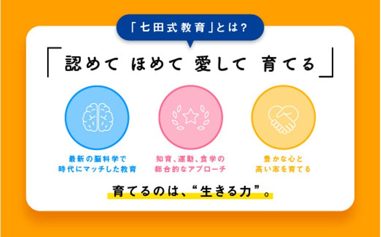 江津市限定返礼品】七田式プリントD 5歳半～就学前 SC-52｜しちだ 七田