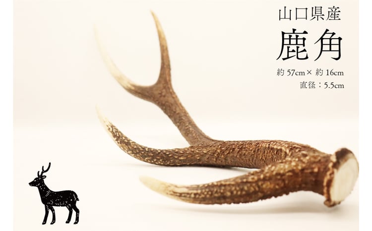 sd1_fbbc80182e363dbf6e73c87fec