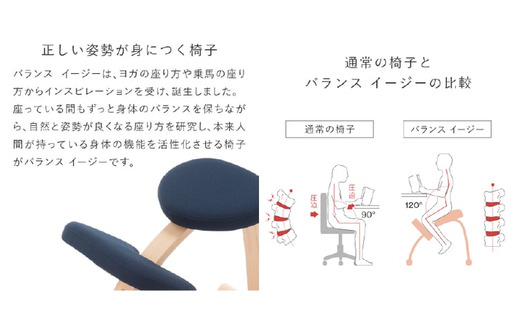 №5308-7081]0231バランス イージー(カバー付き)通常:ブラウン+カバー