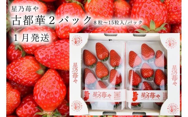 先行予約 奈良県ブランドイチゴ古都華2パック 2026年1月発送 // /苺
