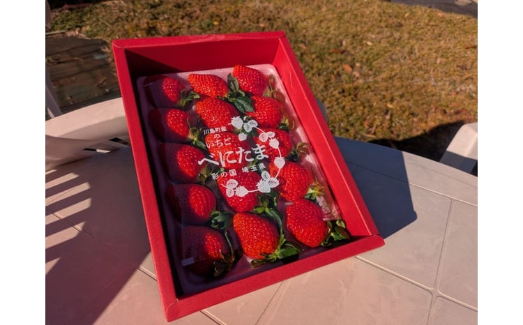 TOA農園【新品種】埼玉オリジナルいちご べにたま1パック15粒 - 埼玉県