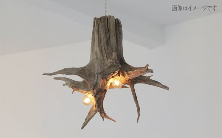 W Bulb Roots pendantlight ペンダントライト 糸島市 / WOOD'ARBRE