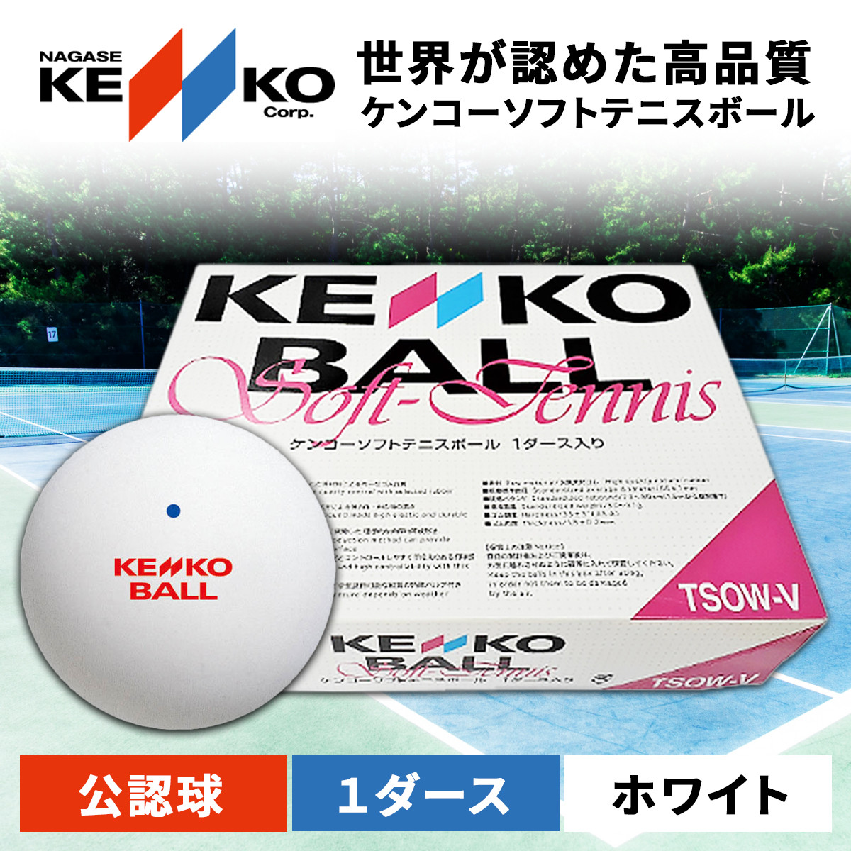 ケンコーソフトテニスボール・ホワイト 公認球／ふるさと納税 テニス