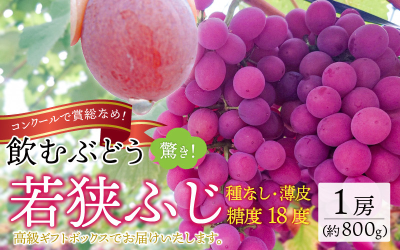 先行予約】【数量・期間限定】受賞歴多数！飲むぶどう 若狭ふじ 1房(約