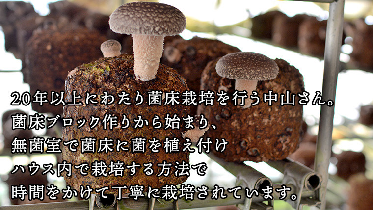中山さん家の肉厚ジャンボしいたけ約1㎏（15枚程度）【菌床栽培