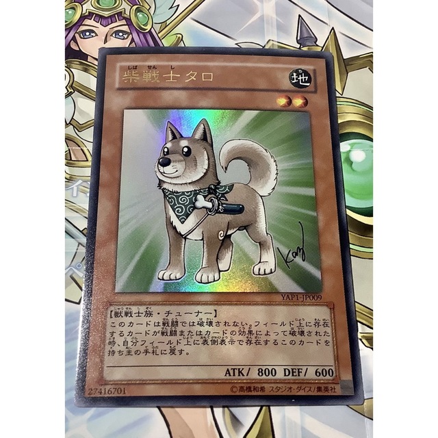 遊戯王 - 柴戦士タロ ウルトラレア 4つ目 YAP1-JP009の通販 by 【3周年