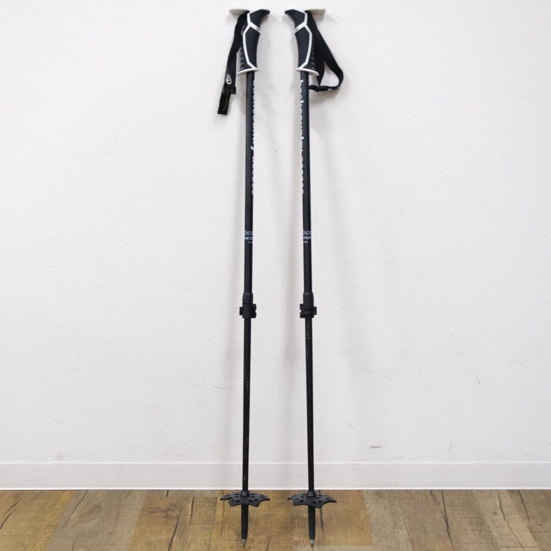 ビーシーエー bca (BackCountryAcces) SCEPTER CARBON POLE セプター