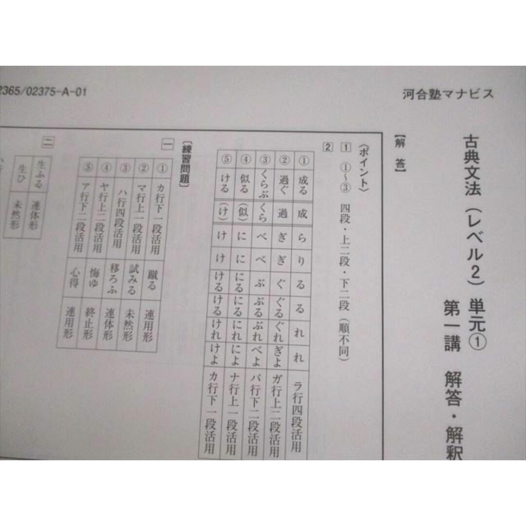 河合塾マナビス 古典文法(レベル2) 単元1〜5 テキスト/テスト30回分付