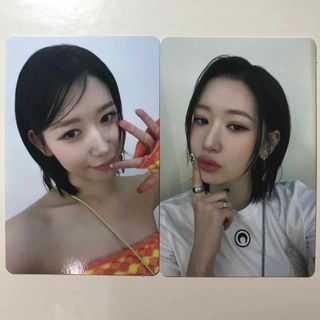 2236878526.jpg?1713269381