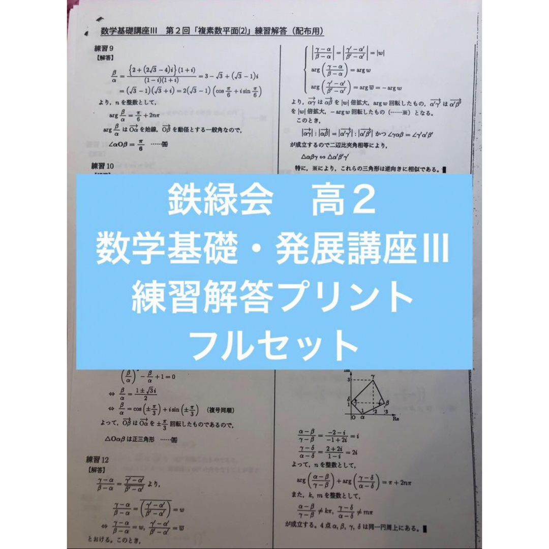 鉄緑会 高2 数学基礎・発展講座Ⅲ 練習解答プリント フルセットの通販