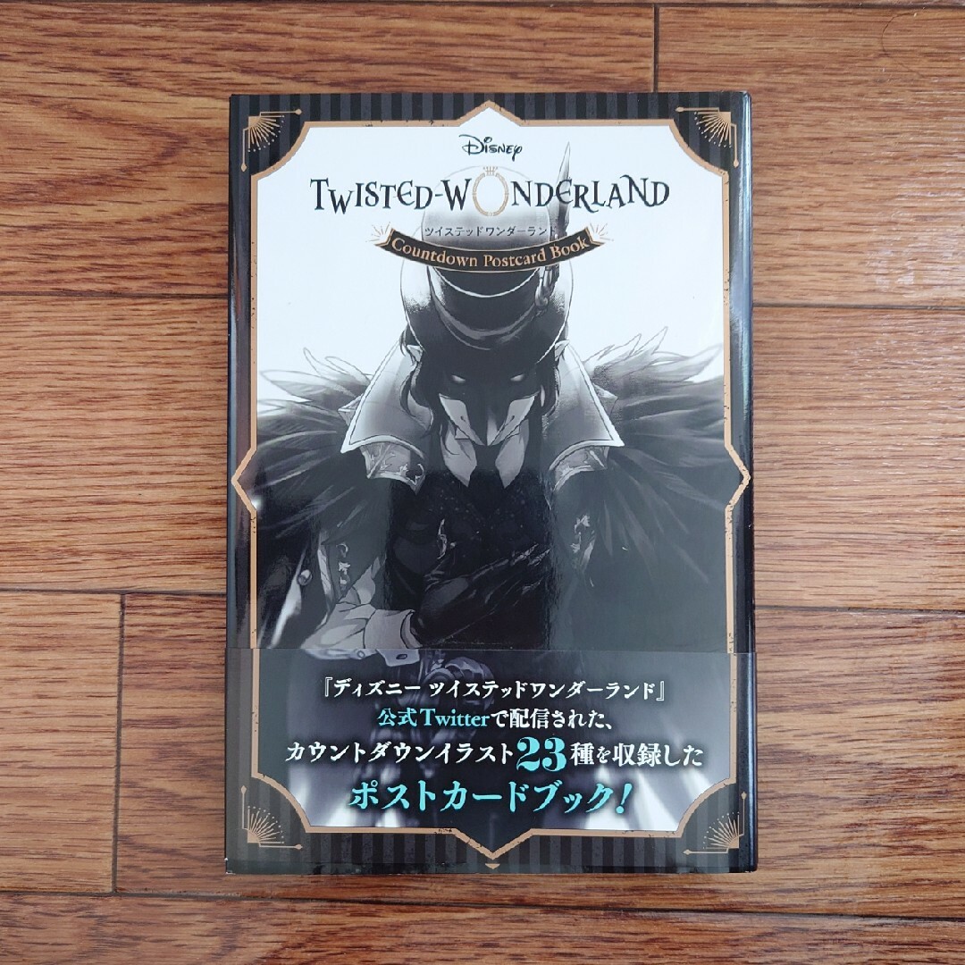 Disney - 【在庫処分のため大幅値下げ！】 ツイステッドワンダーランド