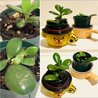 リメ缶 3個セット B リメイク缶 デコパージュの通販 by Hello Hello's