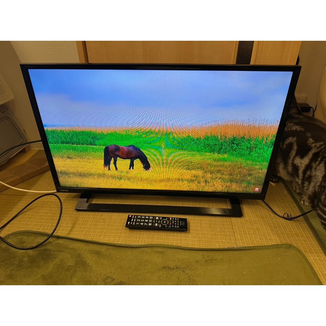 東芝 - 東芝 TOSHIBA レグザ テレビ 32型 32S22 2019年製 極美品！の