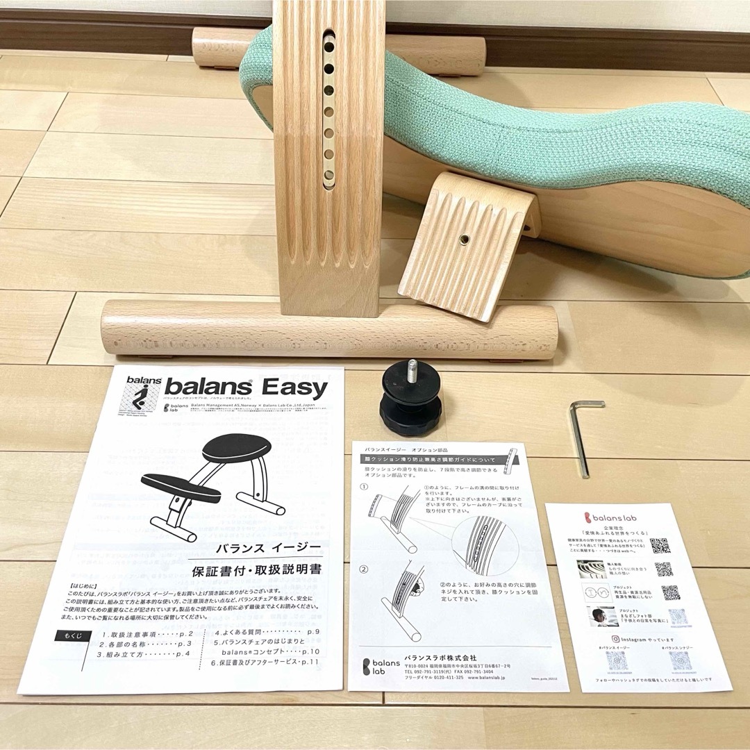 balans Lab - バランスチェア バランスイージー ライトグリーン 中古美