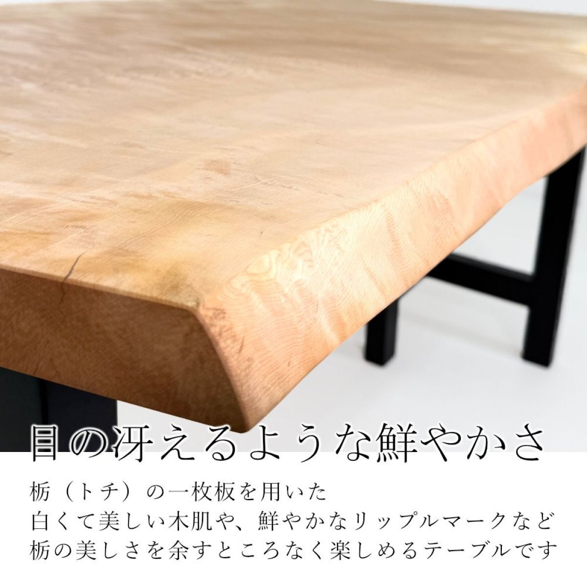 栃（トチ） 一枚板 ダイニングテーブル／1440mm 【A8428】 【一枚板