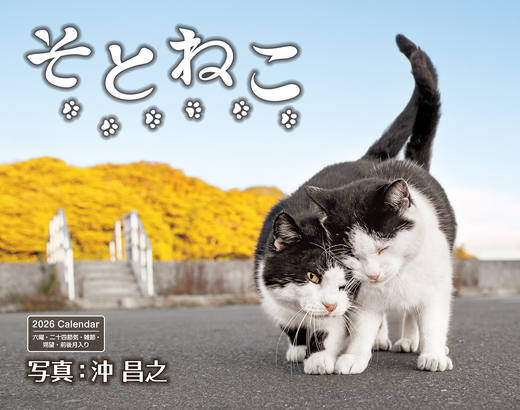 そとねこ - インプレスブックス
